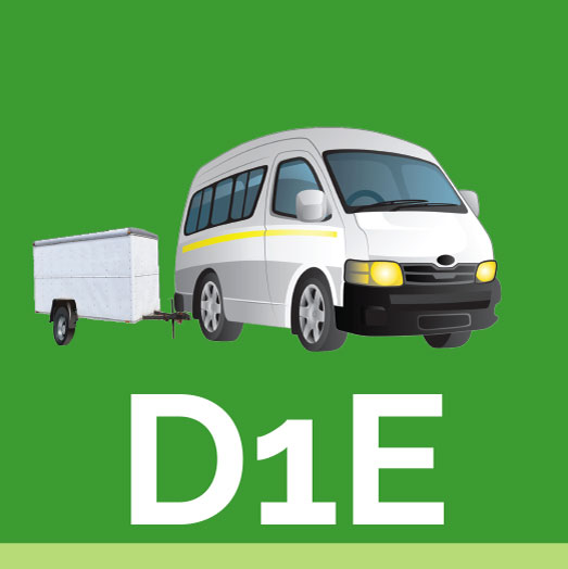D1E icon