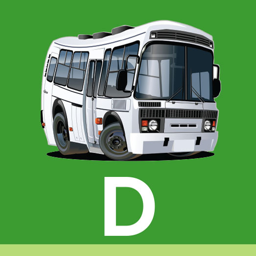 D Cat Icon