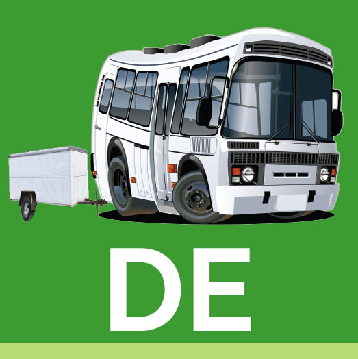 DE cat icon